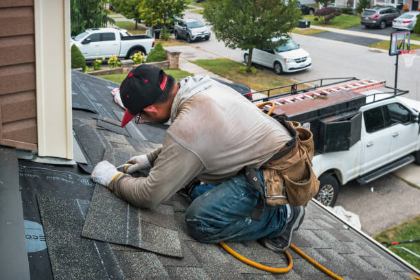 Professional Roofing technician working in Hector, MN